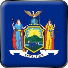 New York State Flag Icon