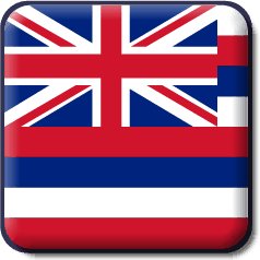 Hawaii State Flag Icon