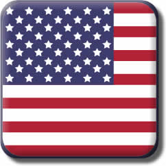 United States Flag Icon