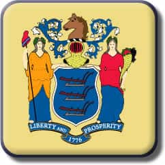 New Jersey State Flat Icon