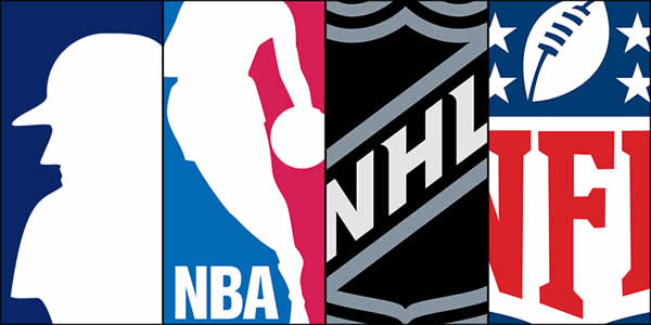 American Professional Sports Leagues