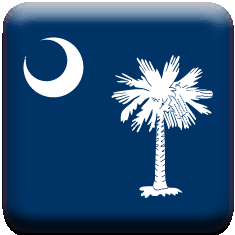 South Carolina Flag icon