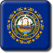 New Hampshire Flag Icon