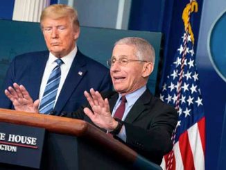 Dr. Fauci and President Trump at a news conference