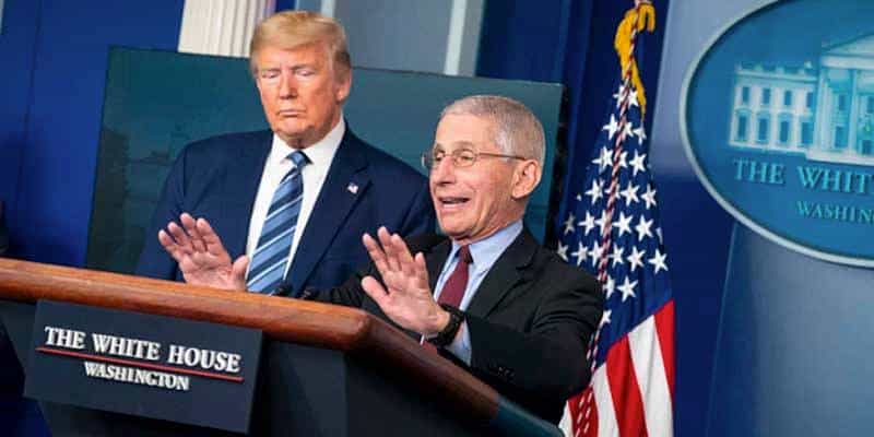 Dr. Fauci and President Trump at a news conference