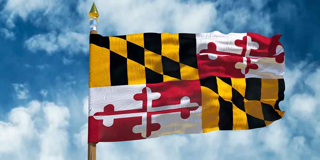a MD state flag