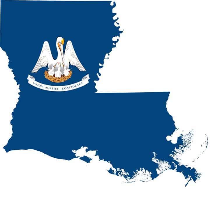 LA flag