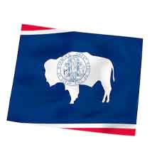WY flag
